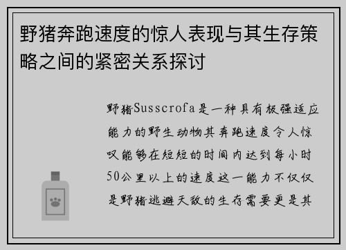 野猪奔跑速度的惊人表现与其生存策略之间的紧密关系探讨